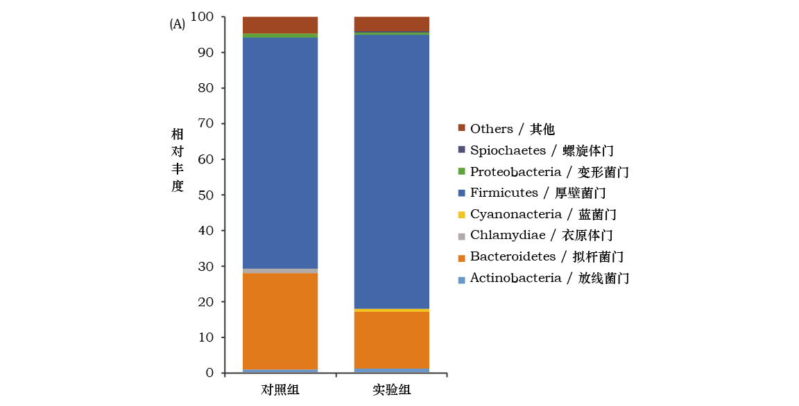 表格-05.jpg